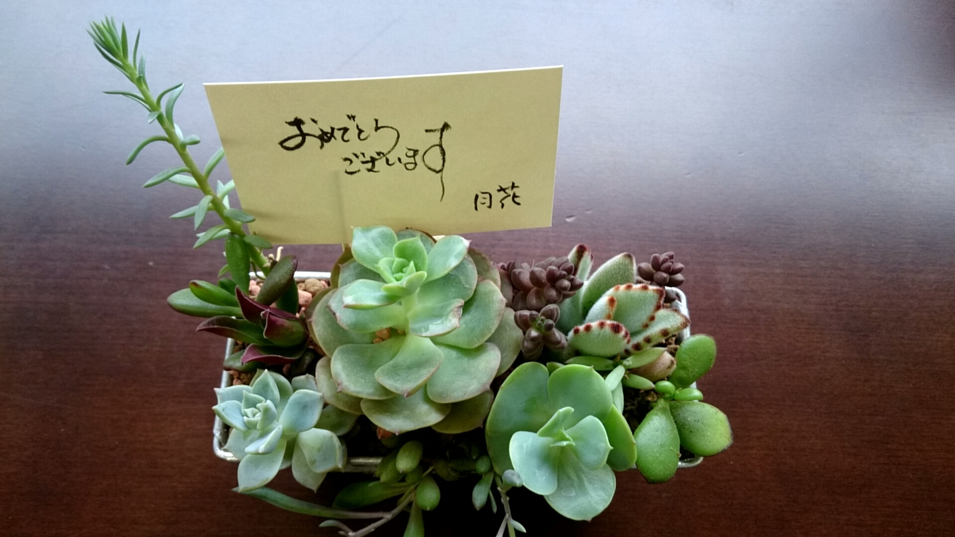 20160415_103618099.jpg