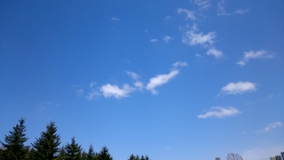 20160501_124249971.jpg